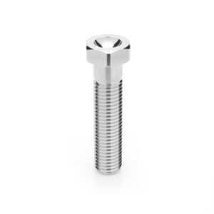 Hex Head 3/4-10 x 3-1/4